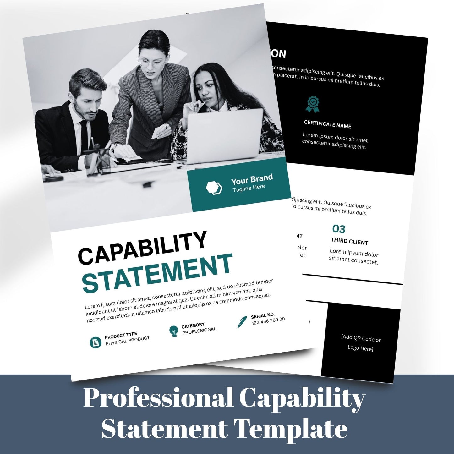 Professional Capability Statement Template
