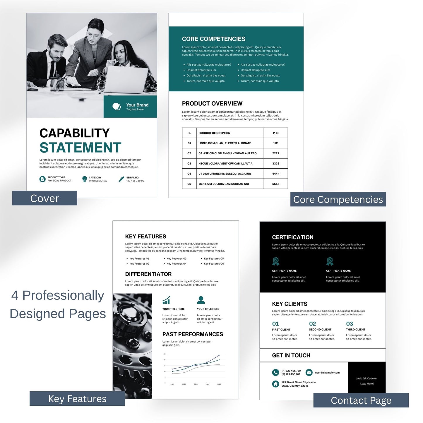 Professional Capability Statement Template