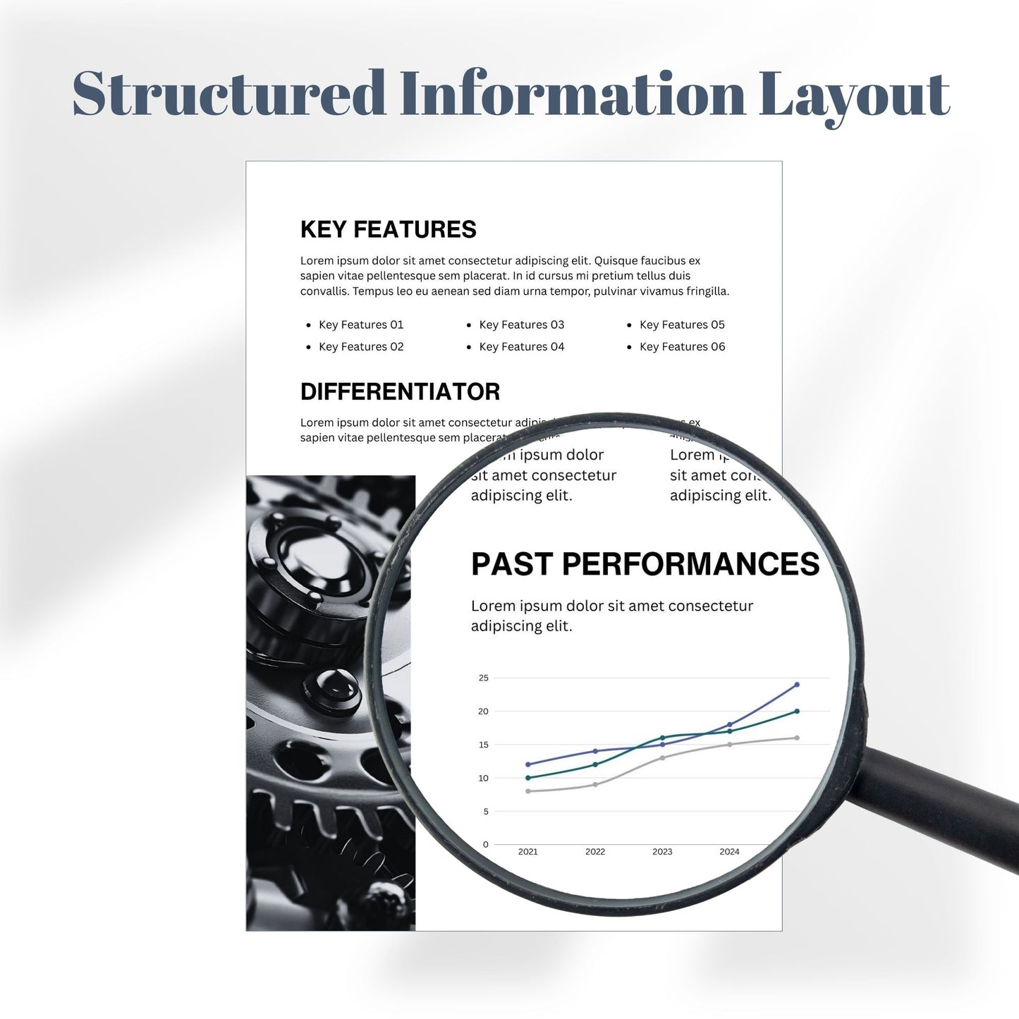 Professional Capability Statement Template